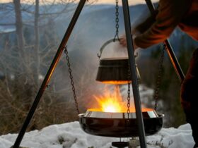 Hasonlóságok és különbségek – A gulyás nyomában a régióban