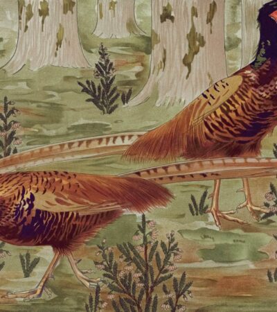 A luxus íze – mit ettek a főúri családok a monarchia idején?