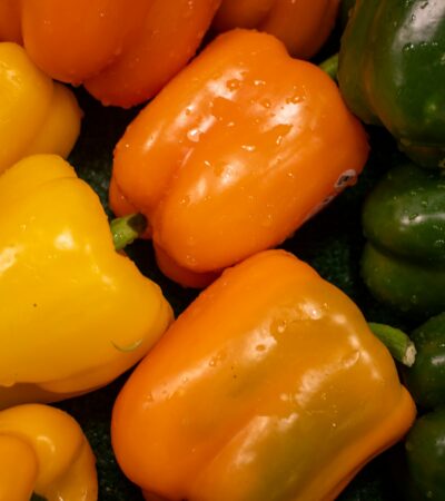 Pirítós újragondolva – Kézműves kenyér, házi krémek, friss zöldek